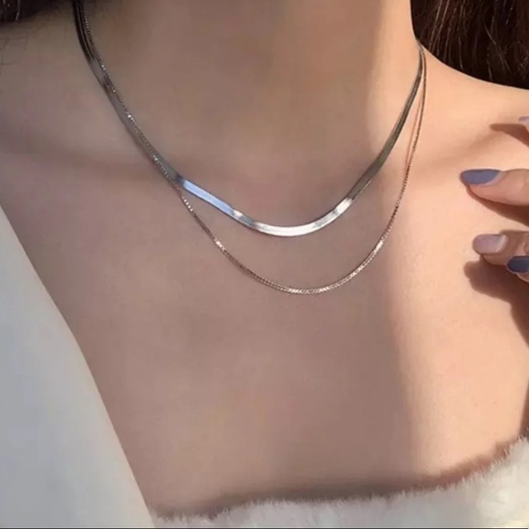 COPY - COPY - Sterling Silver Layered Double Chain Snake Bone Retro Necklace - Picture 1 of 3